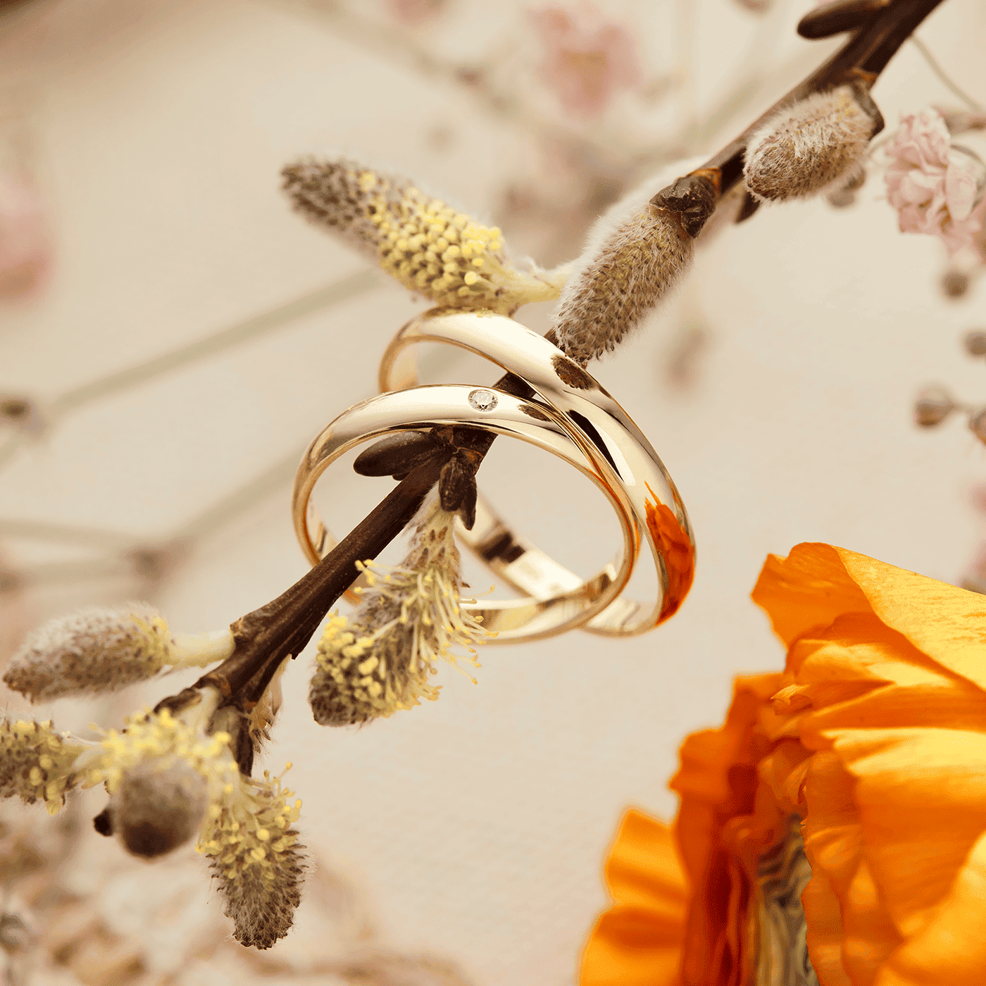 Trauring 585er Gelbgold Mainz Trauring 585er Gelbgold Mainz