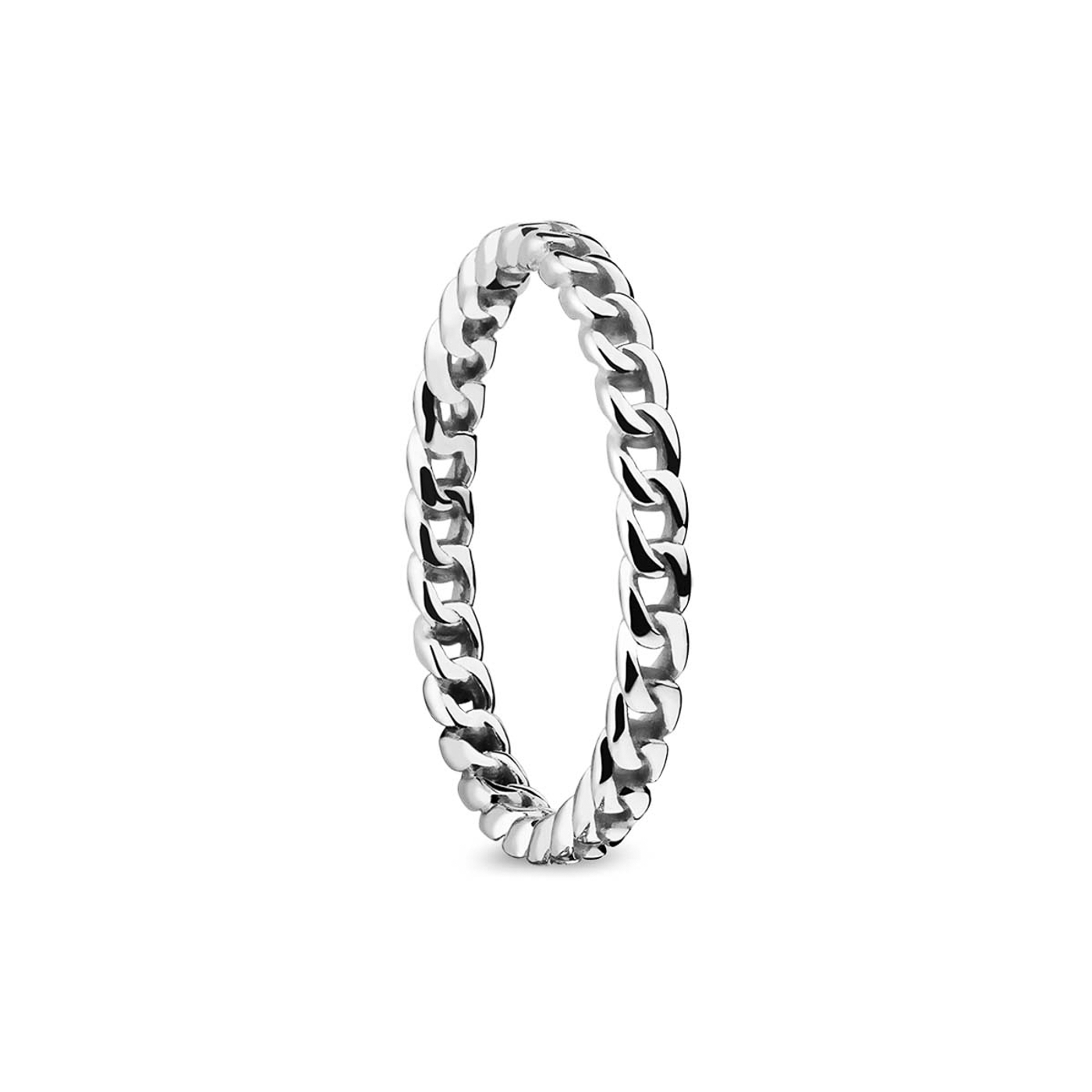 Edelstahlring Actic Symphony